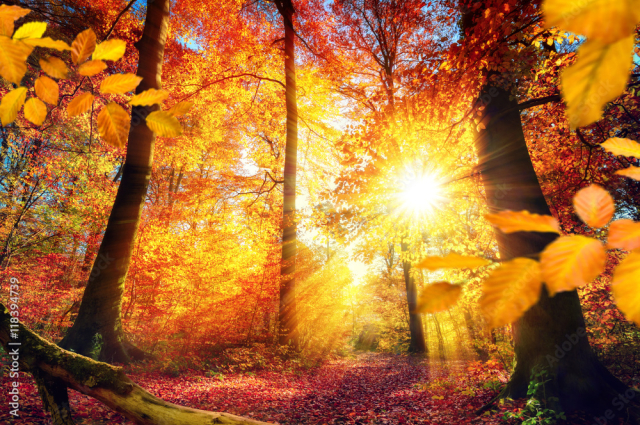 Autumn
